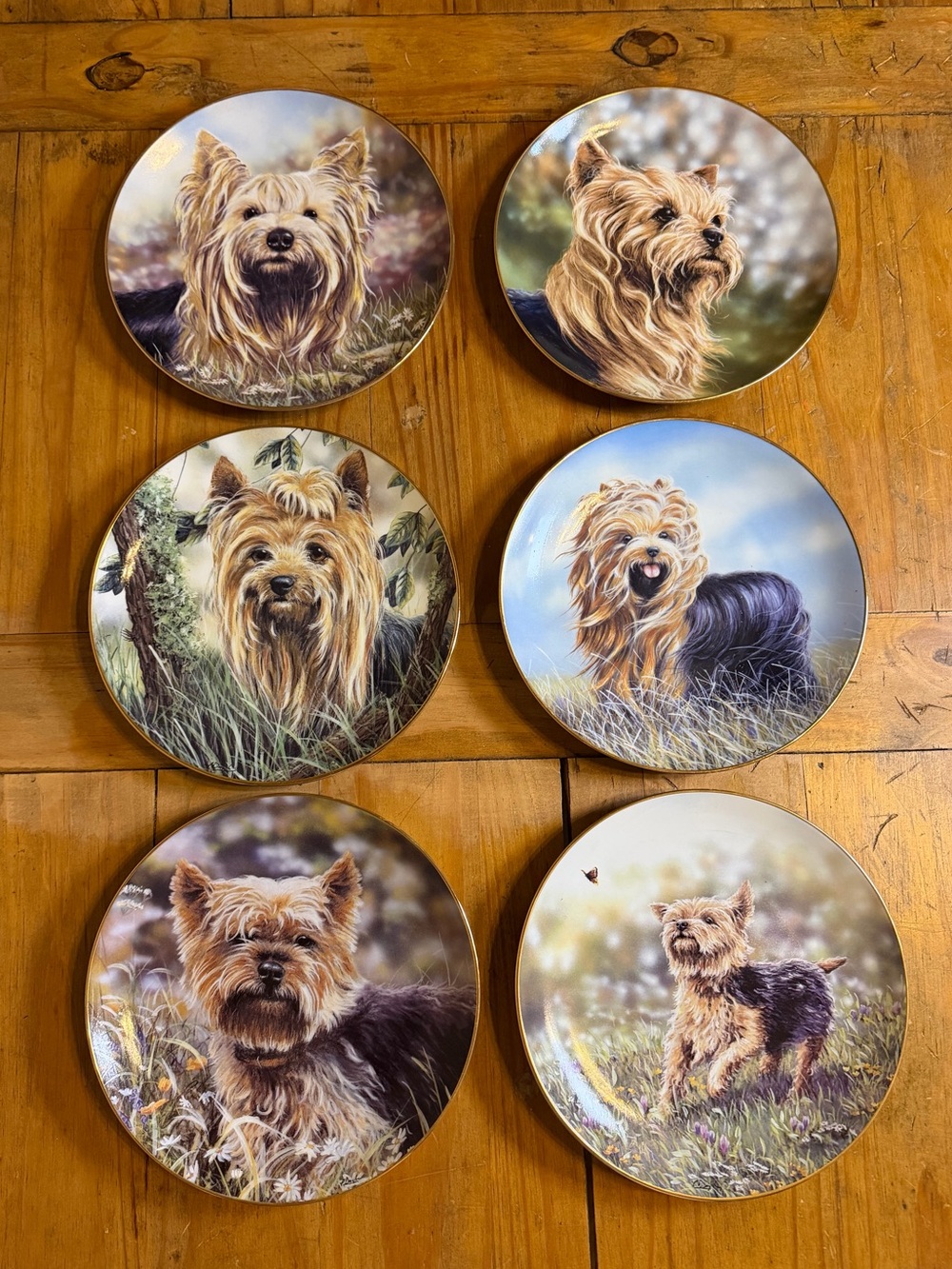 Danbury Mint Yorkshire Terrier Yorkie Collector Plates Paul Doyle Set of 6 b4799